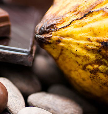 CACAO-PQ