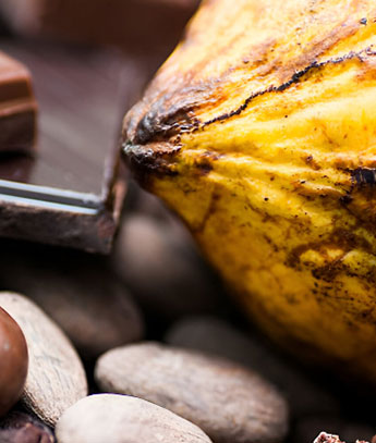 CACAO-PQ